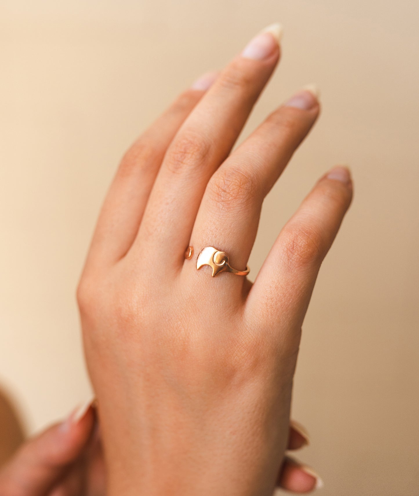 Elephant Ring
