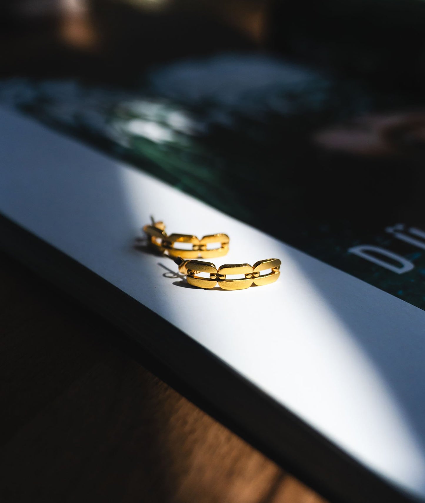 Link Chain Earrings